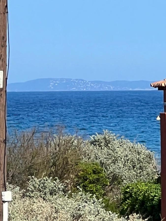 Plein Sud, Bel Appartement 20 Metres De La Plage La Capte Hyeres Ngoại thất bức ảnh
